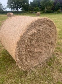 Hay and Silage Bales for Sale