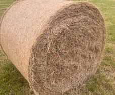 Hay and Silage Bales for Sale