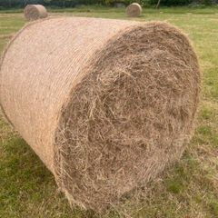 Hay and Silage Bales for Sale