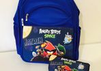 Personalised Angry birds School Backpack and pencil case set / back to school stationery