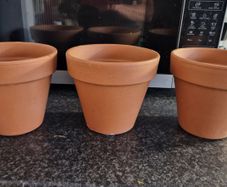Terracotta pots