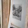 The Sportsman's Book for India Edited by F. G. Aflalo (RB229) Image 8