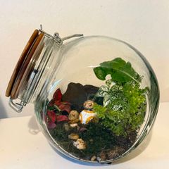 Star Wars BB-8 Living Closed Terrarium