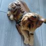 Fireside ornamental Collie Image 3