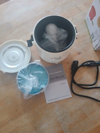 Electric car cooker