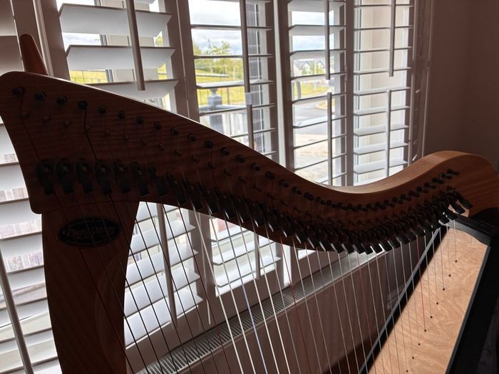 Ravenna 34 Harp in excellent condition with carry bag