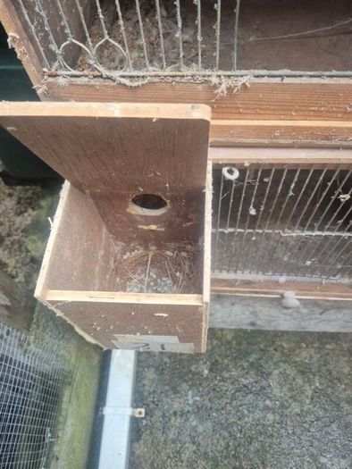 Single breeding cages