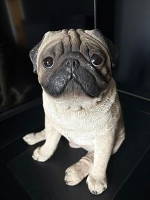 Vintage Pug Statue