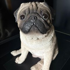 Vintage Pug Statue
