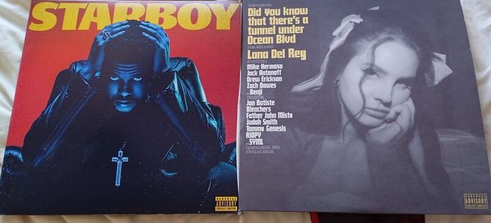 vinyls Lana del Rey and the Weeknd Starboy