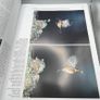 Handbook of the Birds of the World Vol 11 del Hoyo HC Lynx Edicions Ornithology Image 7