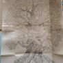 Collector's Match Set: Toby Alone & Secrets of the Tree 1st Editions Image 7