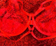 90D bra