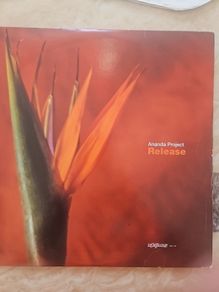Ananda Project 2x12" - Release