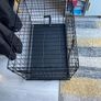 Dog crate - foldable and removable tray Image 2