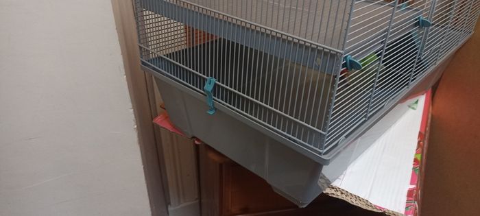 Hamster Cage