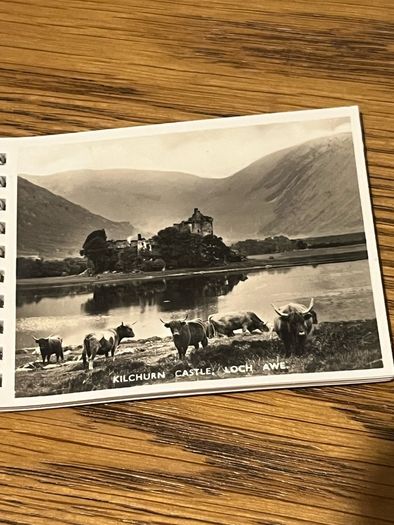 Vintage Scotland Photograph Snapshots