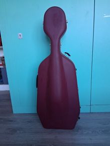 Cello hard case.