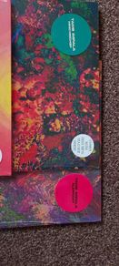 Tame Impala Vinyl
