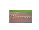 Tubular step hurdles 9