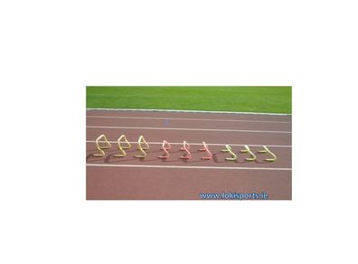 Tubular step hurdles 9"
