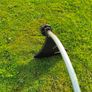 Strimmer - ProPlus KIX034240 Image 9