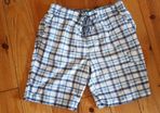 Size L Swim Shorts