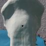 Antique Porcelain Figurine Irish Colleen Image 6