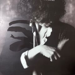 The Waterboys vinyl lp