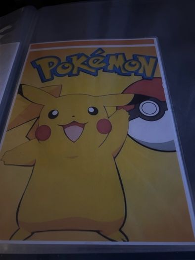 Pokemon poster