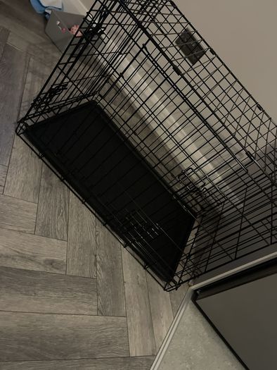 dog cage