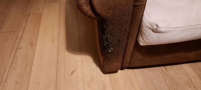 Free sofa
