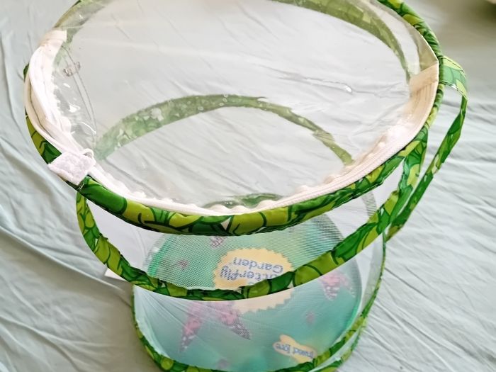 Butterfly Hatching Net Bag