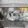 Fish tank Image 2