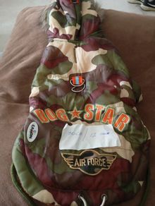 dog coat