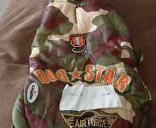 dog coat