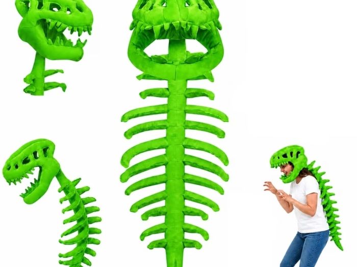 Cute Dinosaur Skeleton Costume