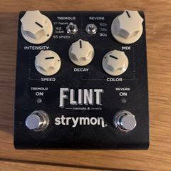 Strymon Flint V2
