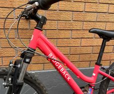 girls bicycle ridgeback