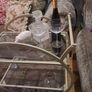 Art Deco Style Drinks Trolley Image 3