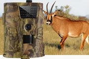 12MP 1080P Trail Hunting Camera Wildcamera Wild Surveillance HT001B Night Version Wildlife Scouting Cameras Photo Traps Track