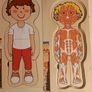 Wooden Kids Anatomy Puzzle Image 2