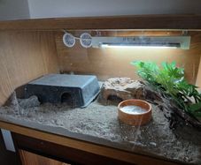 terrarium