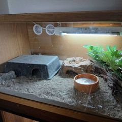 terrarium