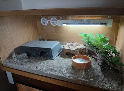 terrarium
