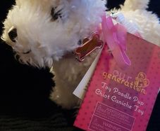 our generation toy poodle pup