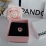 New pandora charm Image 6