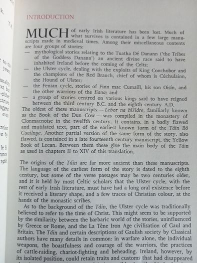 The Tain