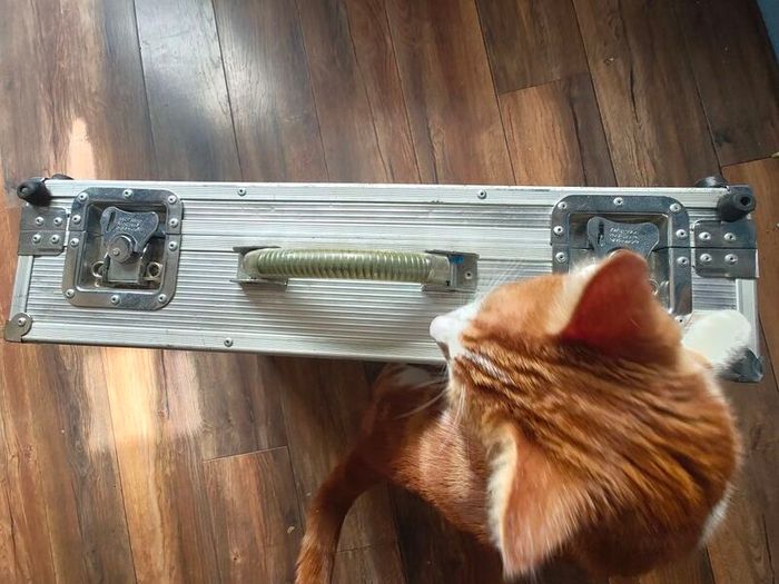 Guitar pedal case