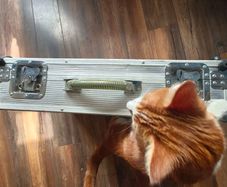 Guitar pedal case
